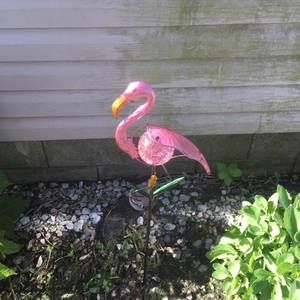 Meet your Posher, Brandy